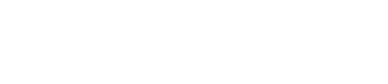 Insperte logo